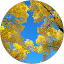 Stacey Tryzub Stacey Tryzub